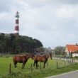 vuurtoren